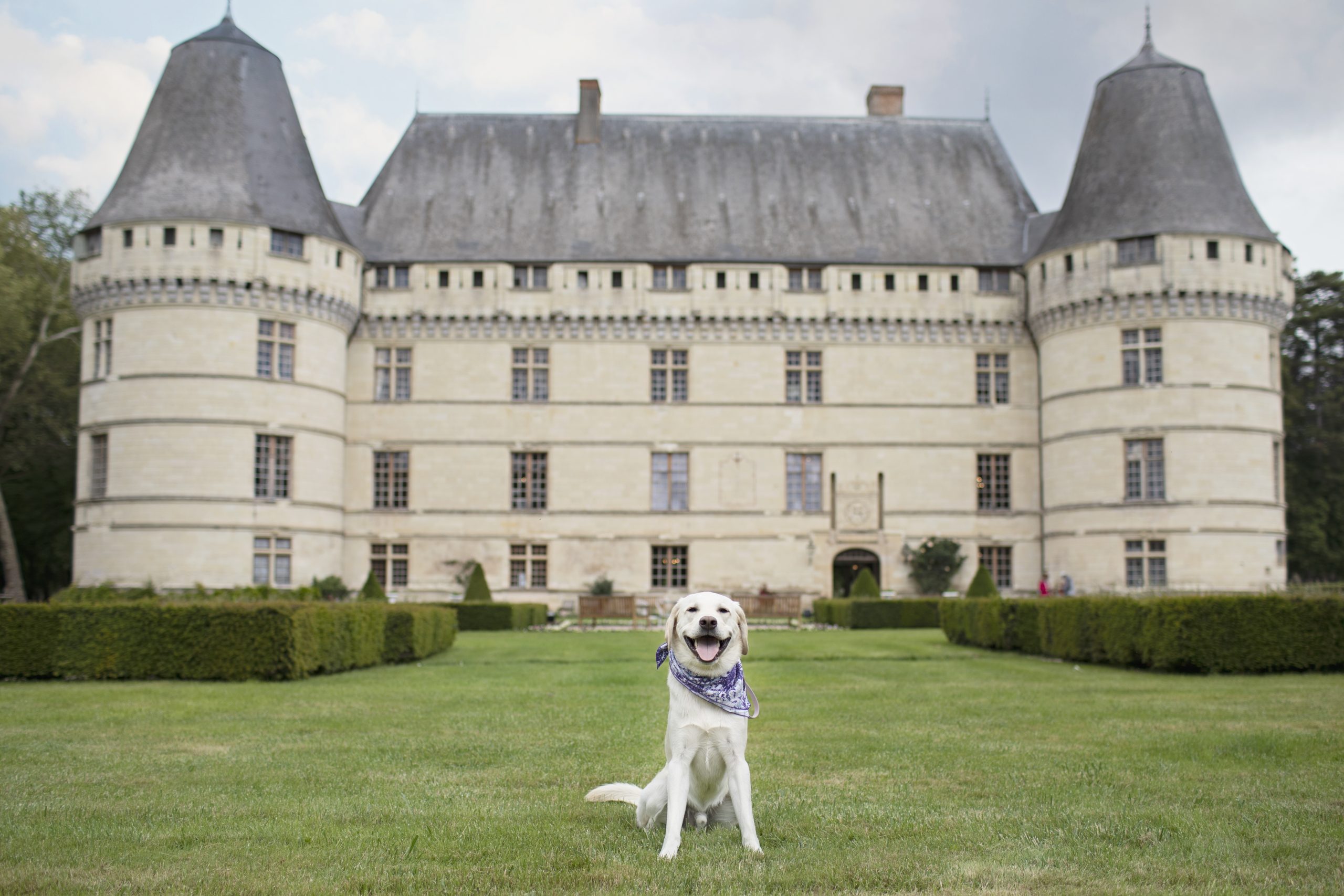 Dog Friendly Castles of the Loire River Valley Dont Stop Retrieving